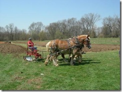 Plowing the Blandford Farm the old fashioned way!